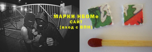 стаф Касимов