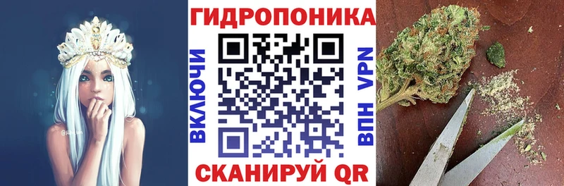 где купить наркоту  Златоуст  Бошки марихуана индика 